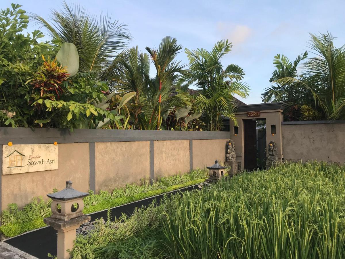 Pondok Sawah Asri Ubud Exteriér fotografie
